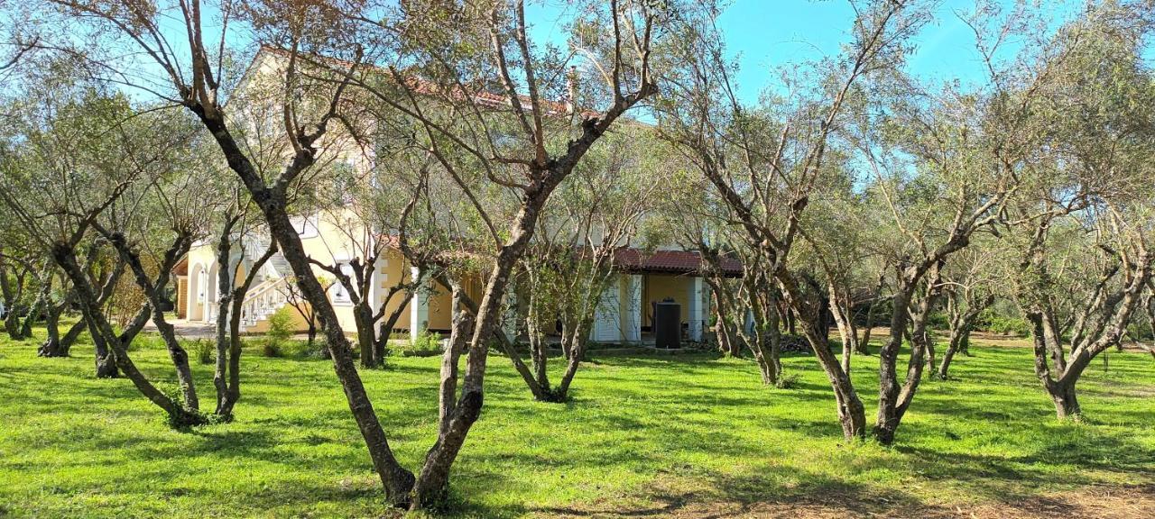 Antonios Olive Garden Acharavi Kerkyra Acharavi (Corfu) Exterior foto